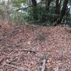 主郭北辺の土塁