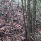 南西曲輪北面の竪堀状地形？