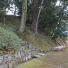 鷹ケ峯南御土居を西下から見上げる