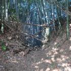 本丸・二の丸間の堀切