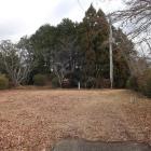 野上八幡山本陣・主郭