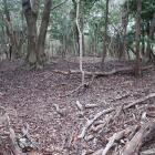 野上八幡山本陣と寺中城の間の平坦地