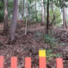 建勲神社南裾の堀