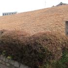 平野御土居