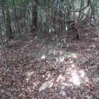 副郭の中を走る境界土塁
