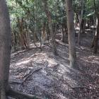 尾根上の境界土塁