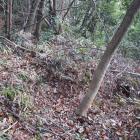 北田原城・南曲輪南東裾の畝状空堀群