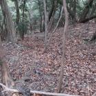 主郭北裾から北東に竪堀を落とす