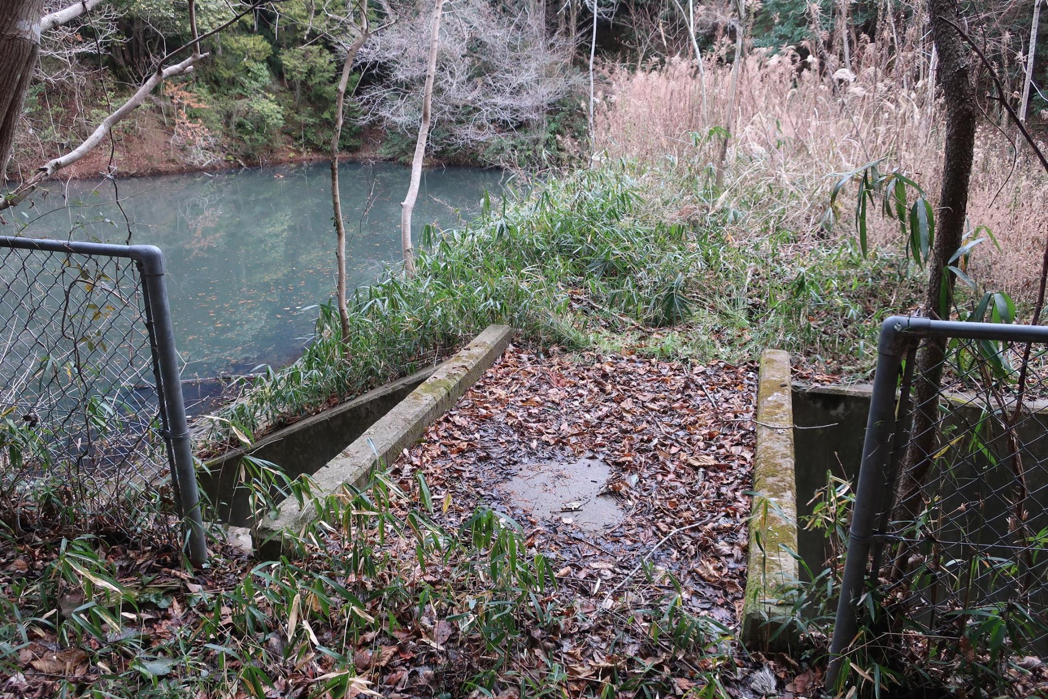 埋谷池の堤（登城口）