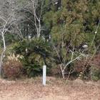 野上八幡山本陣・主郭櫓台