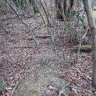 主郭と副郭間の三条の堀切（南側）