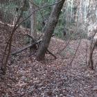主郭部東帯曲輪北端の土塁