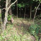 南辺の土塁…外側から見ればよくわかります