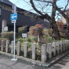 紫野御土居
