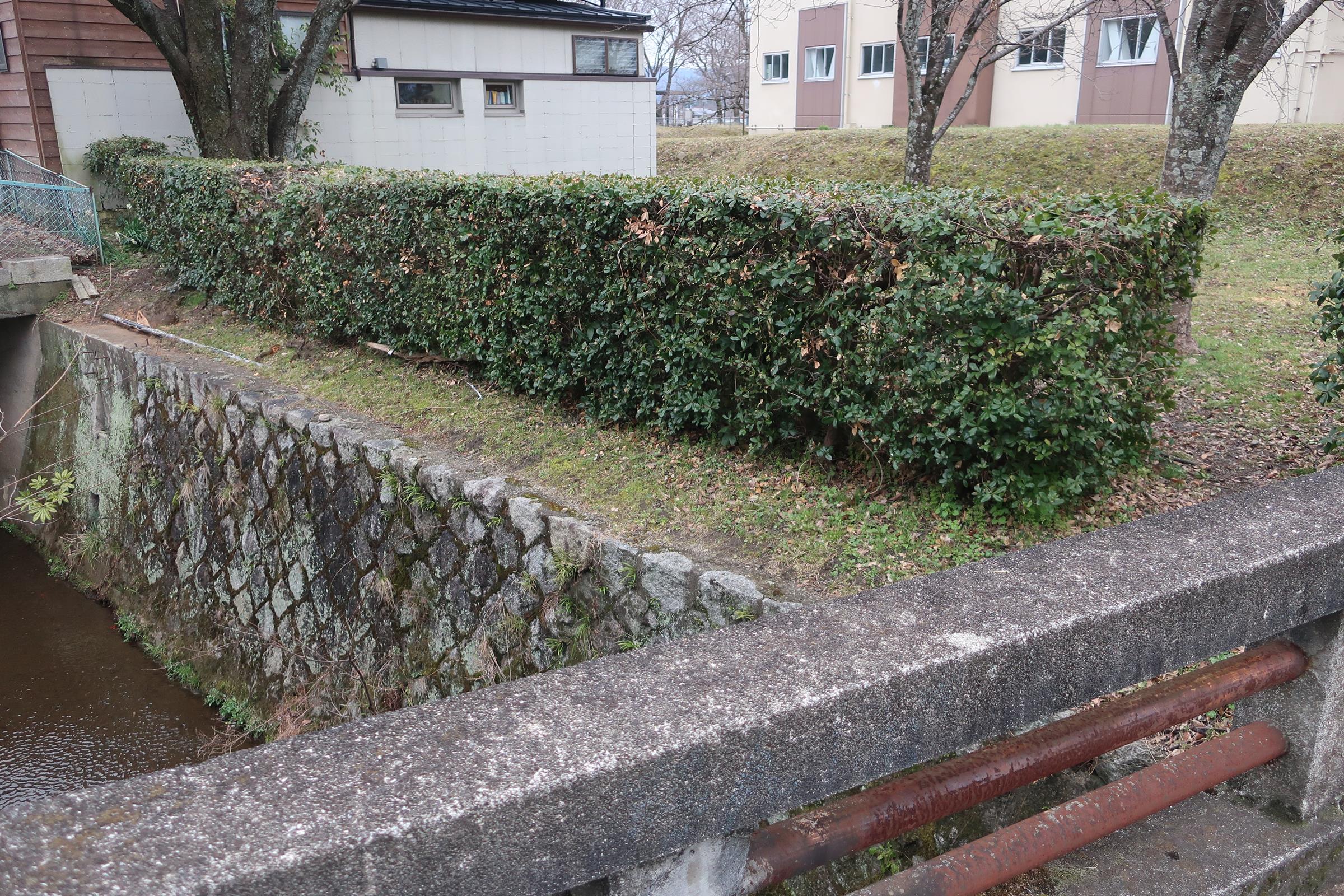 紫竹御土居（右奥）と堀代わりの若狭川
