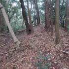 主郭・副郭間の二重横堀（堀切）