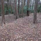 主郭南西部の土塁と外周の内堀