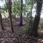 突出部北西の土塁