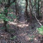 山腹の横堀は西端で竪堀となる