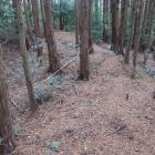 主郭南西側の二重横堀
