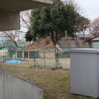 北野中学校御土居