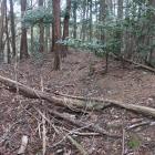 副郭東側の堀切