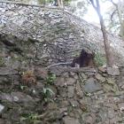 高積神社上の宮の石垣