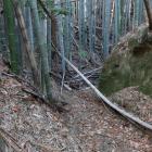 水郭へ通じる切通道