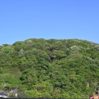 遠望