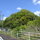 遠望