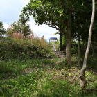 主郭