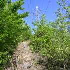 登城路