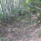 空堀