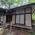 社