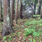 腰郭