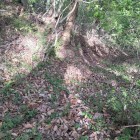 城域手前の堀切