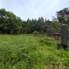 主郭全景