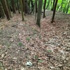 登城道東側の空堀2