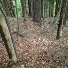 登城道東側の空堀1