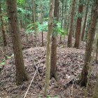 主郭背後の三重堀切3