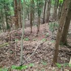 主郭背後の三重堀切2