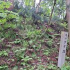 キャダテ跡