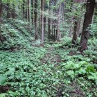 本丸前の空堀