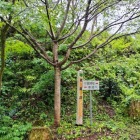 米蔵跡
