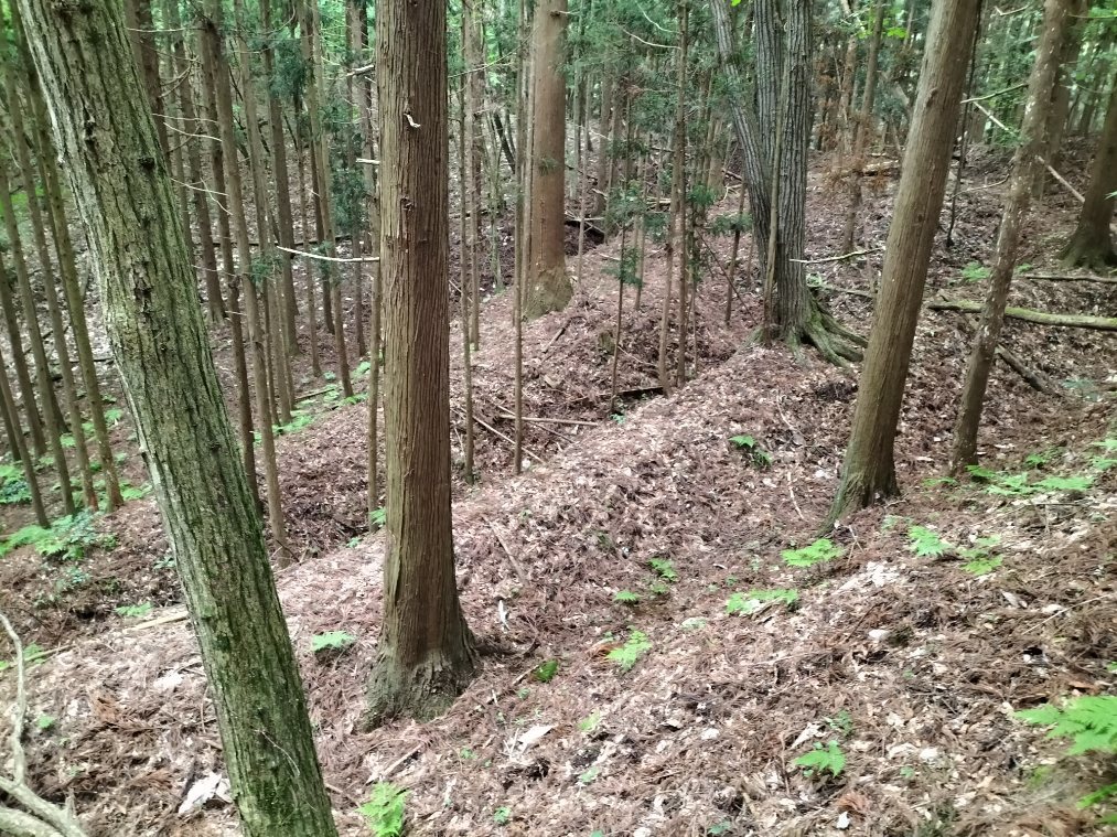 主郭背後の三重堀切1