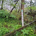 主郭手前の城址碑