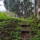 丁字路の尾根鞍部