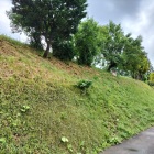 元館跡西側切岸