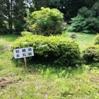 本丸