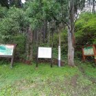 登城口